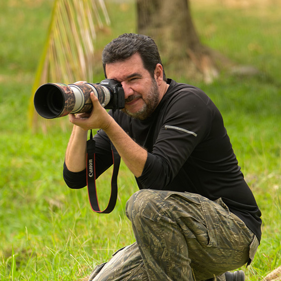 Bernardo Hernandez (perfil)
