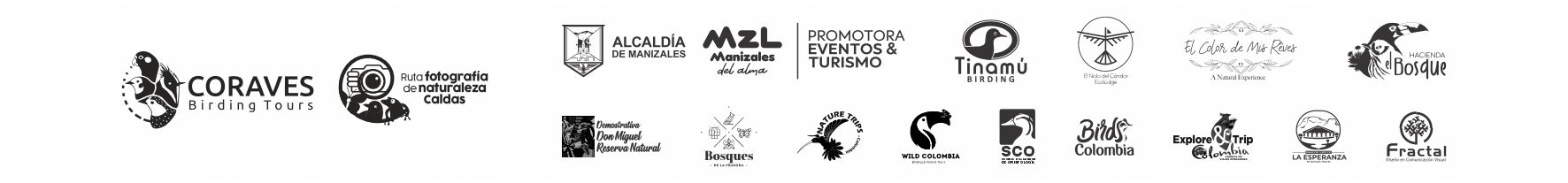 Franja logos 2EFN (completa)